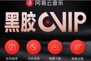 网易云音乐撸黑胶年卡及变现方法【收益可无限放大】-欢迎访问本站